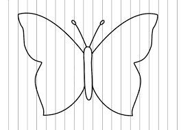 vlinder91