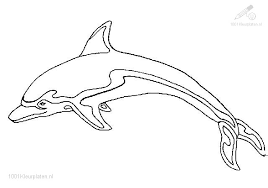 dolfijn32