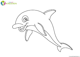 dolfijn52