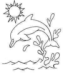 dolfijn8