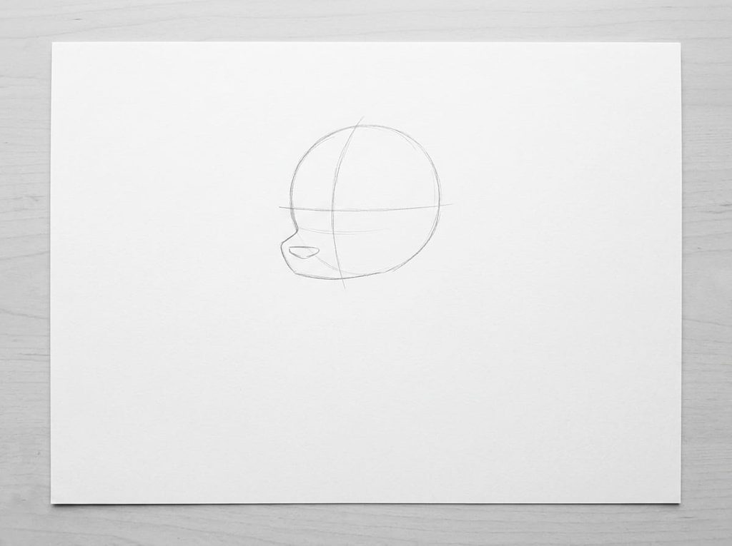 Een vel wit papier ligt op een houten tafelblad. Op het papier is een schets gemaakt in grafietpotlood. De schets toont een ovaal voor de kop van een dier, met een verticale middellijn en een horizontale ooglijn eronder. Onder de kop is een kleine, platte snuitvorm getekend. De schets is gemaakt met dunne, lichte lijnen.